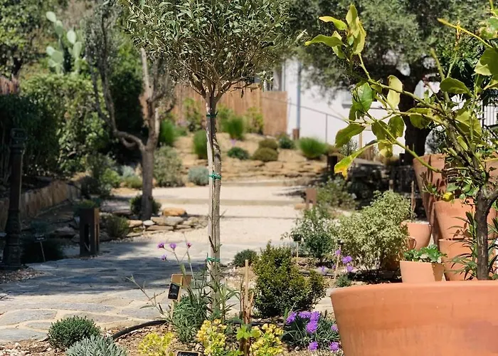 Le Rossignol 2, Aiguebelle