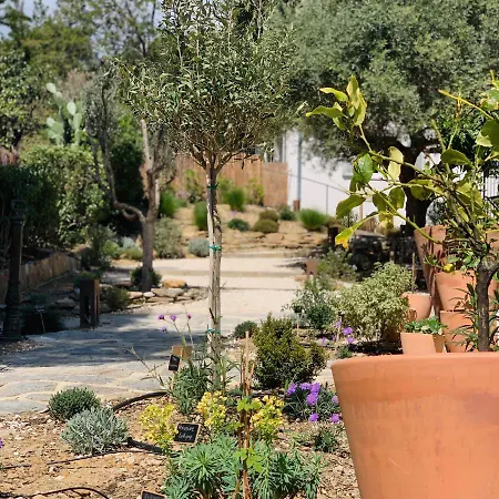 Le Rossignol 2, Aiguebelle